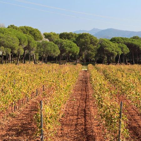 Le Gite Des Cinq Cepages Fréjus Dış mekan fotoğraf