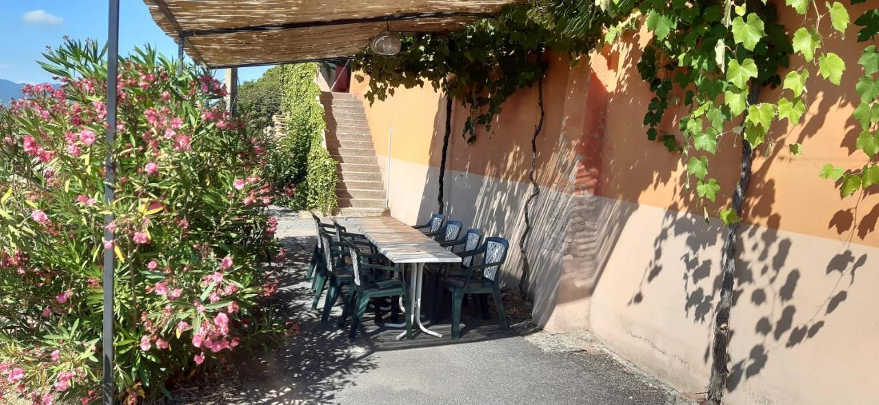 Le Gite Des Cinq Cepages Fréjus Dış mekan fotoğraf