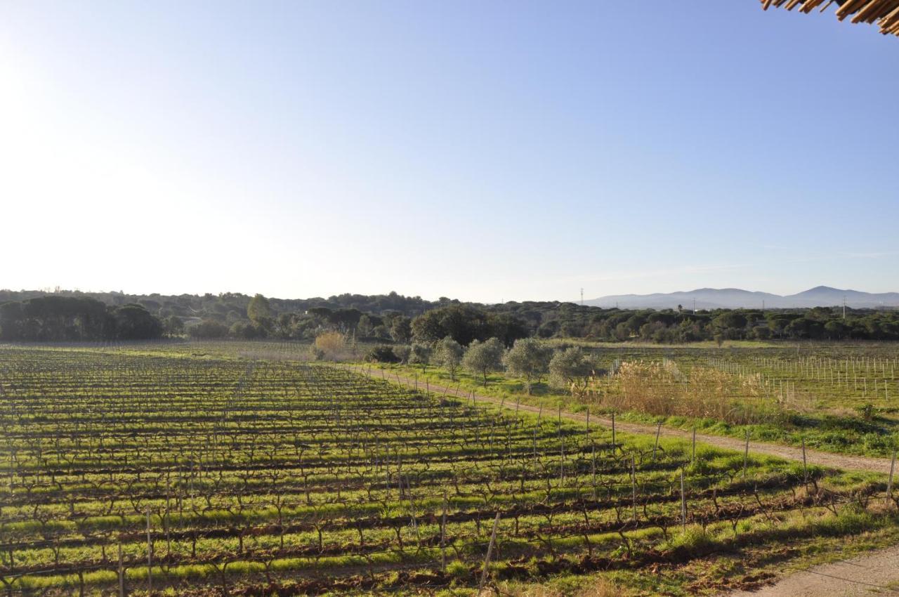 Le Gite Des Cinq Cepages Fréjus Dış mekan fotoğraf